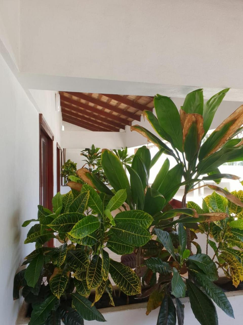 Oasi Encantada - Beach Resort Barahona Esterno foto