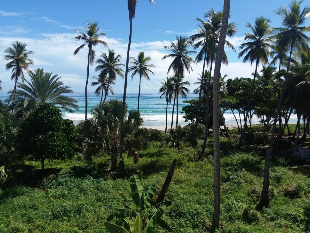 Oasi Encantada - Beach Resort Barahona Esterno foto